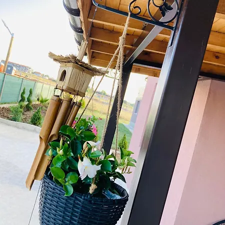 Saint Anastasia Vila *